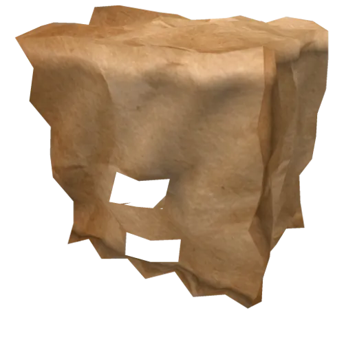 Paper Bag