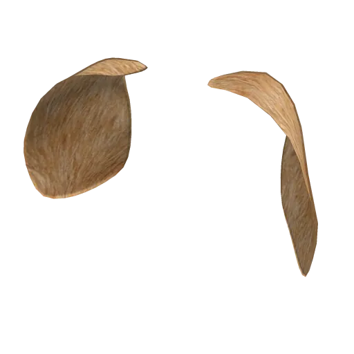 Dog Ears