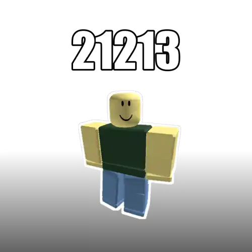 21213