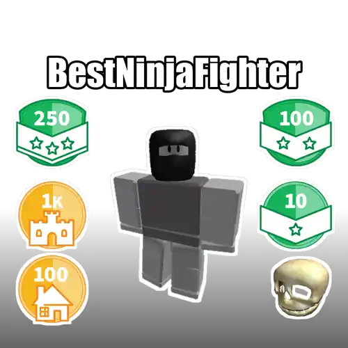 BestNinjaFighter