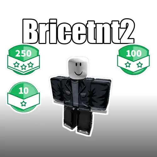 Bricetnt2
