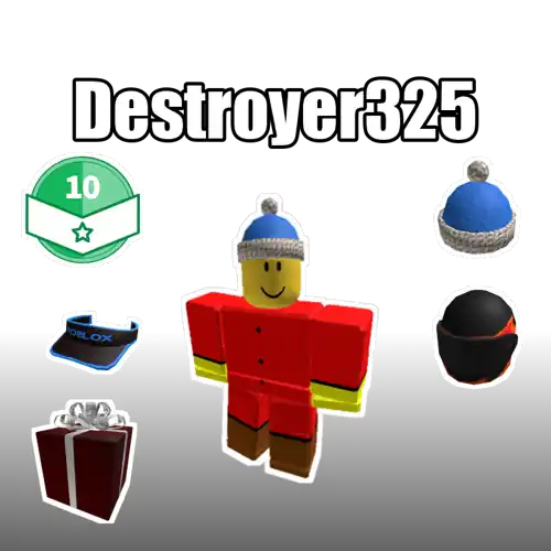 Destroyer325