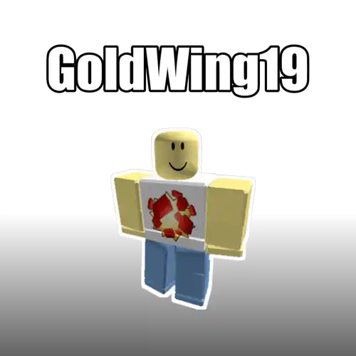 GoldWing19