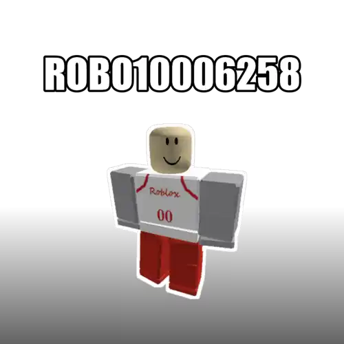 ROBO10006258