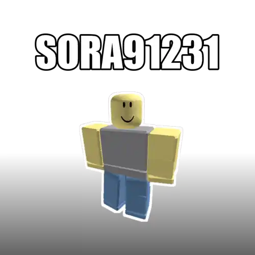 SORA91231