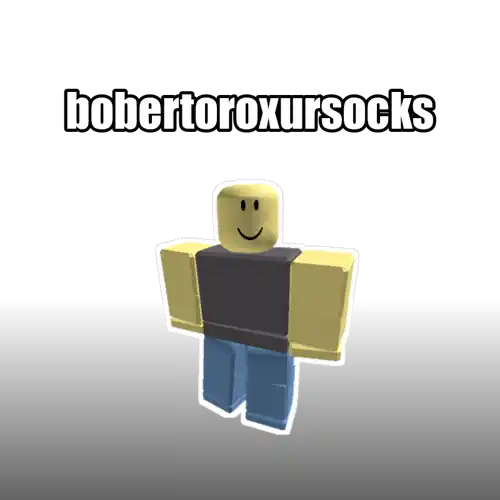 bobertoroxursocks