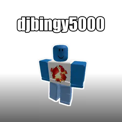 djbingy5000