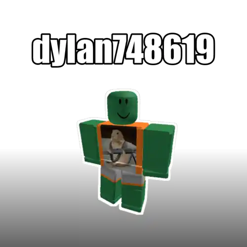 dylan748619