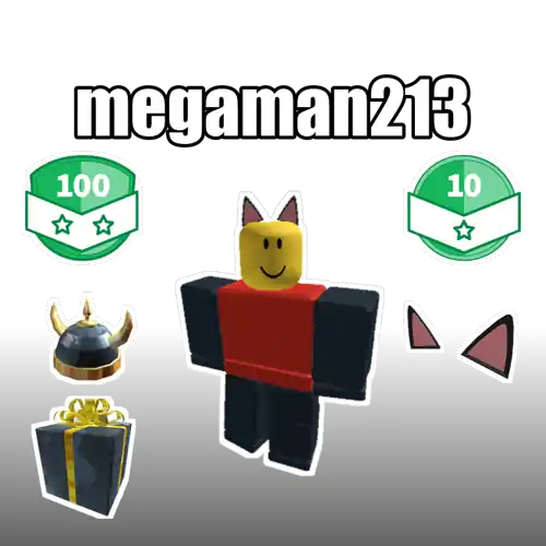 megaman213