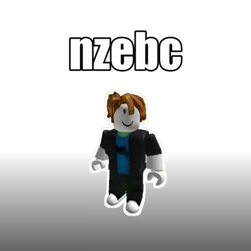 nzebc
