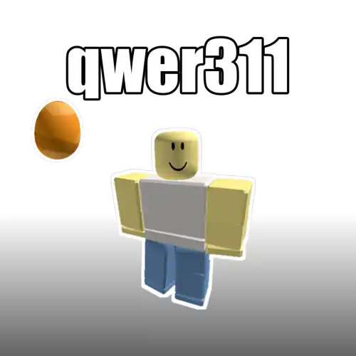 qwer311
