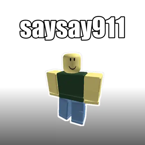 saysay911
