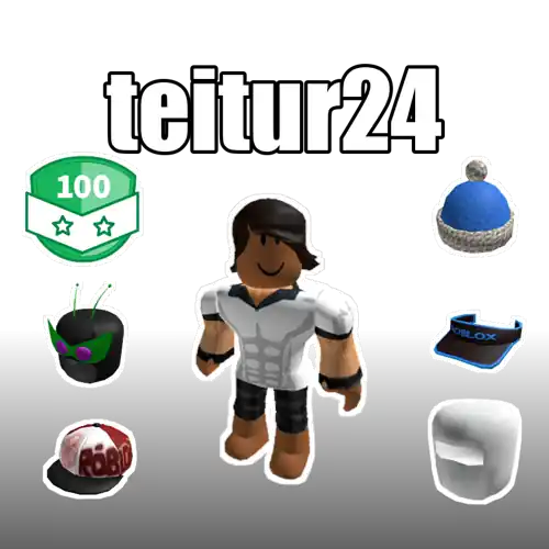 teitur24