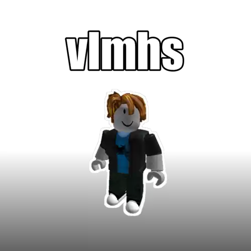 vlmhs