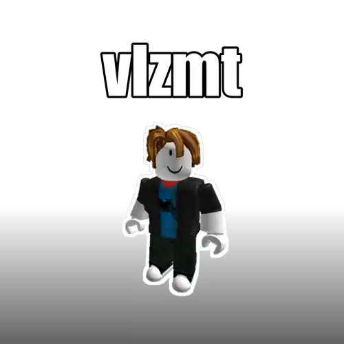 vlzmt