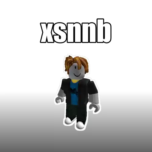 xsnnb